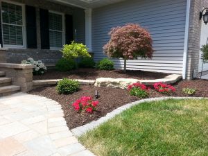 Plantings in front of blue home  thumbnail image